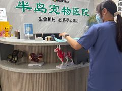 -半岛宠物医院24小时(白果林店)