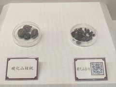 -查海遗址博物馆