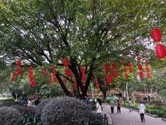 -东风公园