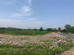 -良渚古城遗址公园