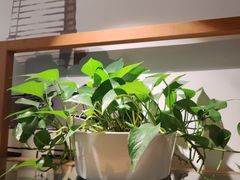 -渝信川菜 · 川味家常菜(财富购物中心店)