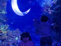 -欢乐海岸海洋奇梦馆