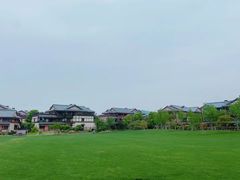 -百万葵园