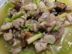 冬瓜炆牛蛙-广东道至正餐厅(区庄店)