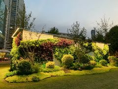 -西北湖绿化广场
