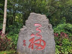 -七仙岭温泉国家森林公园