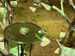 -Zoolung Zoolung动物主题公园(海信广场店)