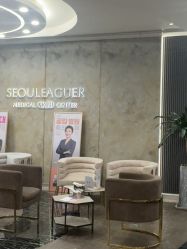 -上海首尔丽格医疗美容医院