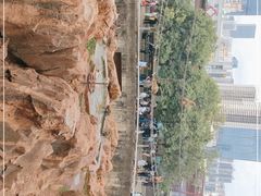-昆明动物园