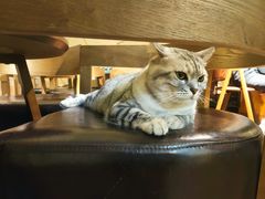 -H立方实景剧情密室(天河旗舰店)