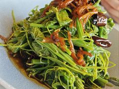 翡翠丝瓜尖-雀蓝川菜(奥体广场店)