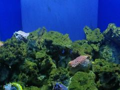 -石家庄海洋公园