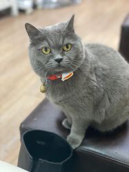 -EasyLady美甲沙龙