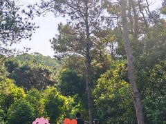 -仙岳公园