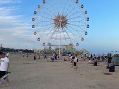 -奉贤海滩
