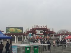 -曹州牡丹园