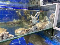 -常家活海鲜小吃(仅一家无分店)