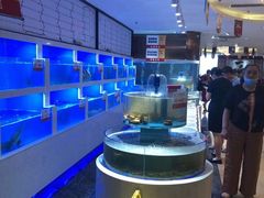 水产区-一品滇香·云南菜(公益西桥店)