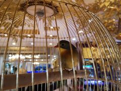 -鹏天阁酒楼·海鲜(红旗店)
