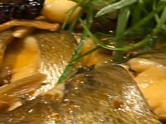 -鱼翅楼·津派砂锅鱼翅(水上公园店)