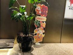 -滇铺子·云南特色菜·第九届野生菌美食节(东风东路c86店)