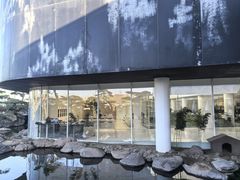 -罗红摄影艺术馆