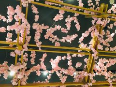 -禾绿寿司·定食·拉面·烧炸(宝安大仟里店)