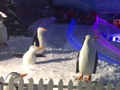 -世界之窗阿尔卑斯冰雪世界