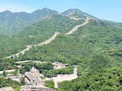 -陈记卤煮小肠