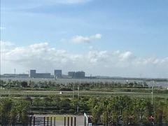 -春花秋色城市公园