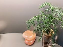 点击看大图 -栖SPA·ONDA ·海菲秀·皑皑科技美肤中心