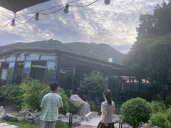 -蘇河湾·新鲁菜·泰山宴(泰山店)