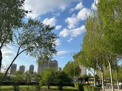 -群力丁香公园