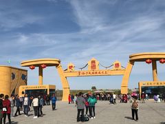 -金塔沙漠胡杨林景区