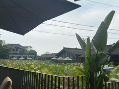 -莫催咖啡