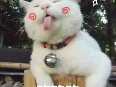 -麦当劳(中山公园龙之梦店)