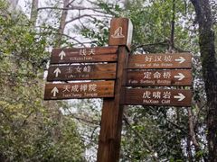 -武夷山风景名胜区-玉女峰