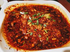 -柴窝堡22号辣子鸡·传承新疆菜