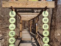-大岭沟猕猴桃谷风景区