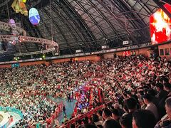 -俄罗斯国家大马戏团