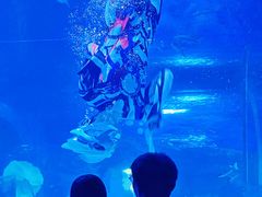 -顺德南宏海立方海洋公园