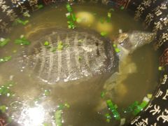 -东吴面馆(十全街店)