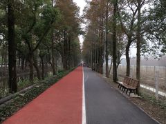 -上海长兴岛郊野公园