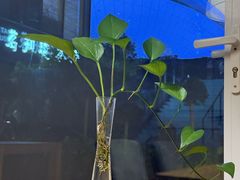 -茗知道茶馆(世博源店)