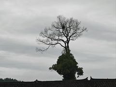 -寨沙侗寨(侗族歌堂)