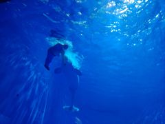 -多彩贵州城极地海洋世界