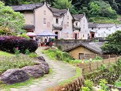 -雁南飞茶田景区