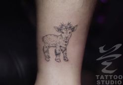 -见雾TATTOO STUDIO