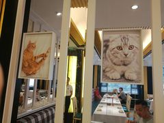 -猫先生时尚火锅(桂平路店)
