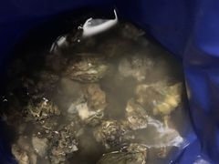 -坝光海滩